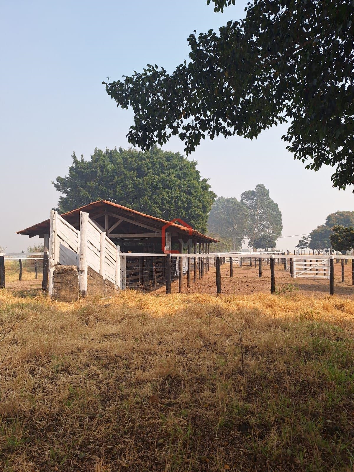 Fazenda em Edilândia-GO à Venda - Porteira Fechada, 222 Hectares com Pecuária Produtiva e Infraestrutura Completa!